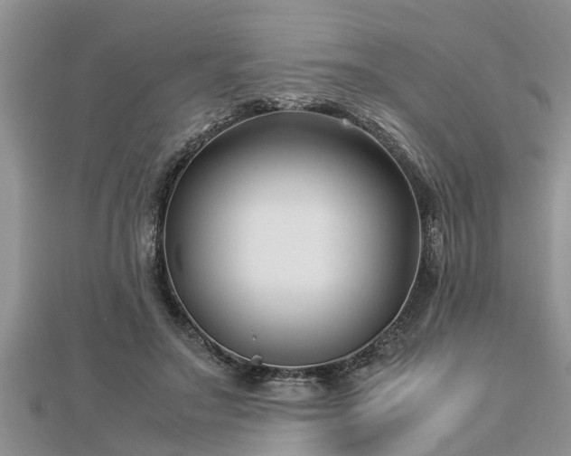 X0000112790499200908281510