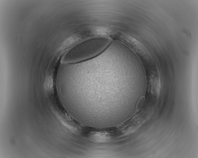 X0000112790500200908281510