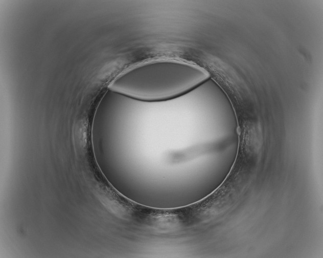 X0000112790501200908281510