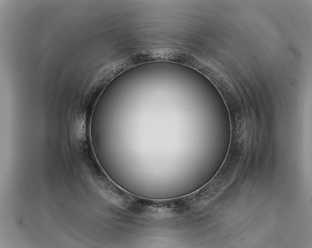 X0000112790502200908281510