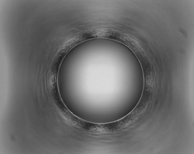 X0000112790503200908281510