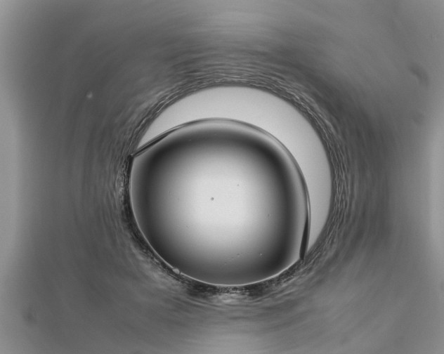 X0000112790505200908281510