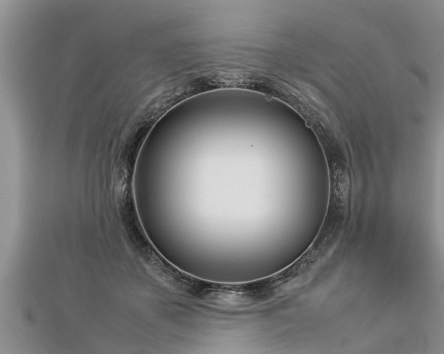 X0000112790507200908281510