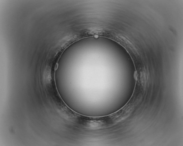 X0000112790508200908281510