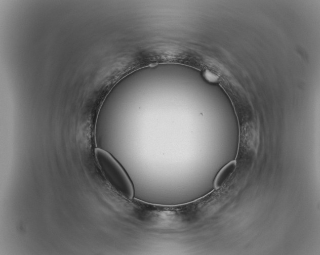 X0000112790509200908281510