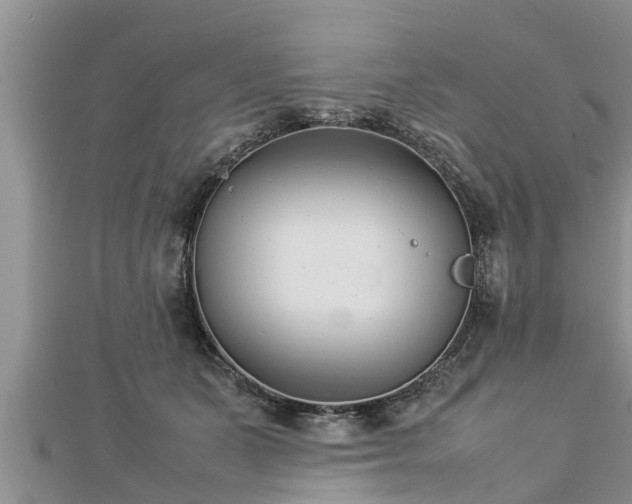 X0000112790511200908281509