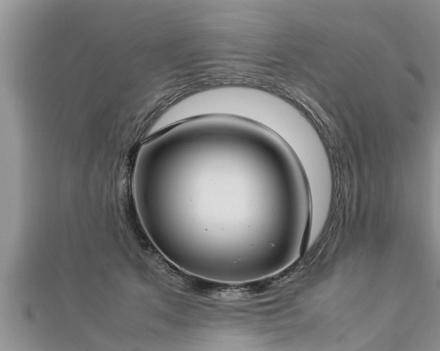 X0000112790513200908281509