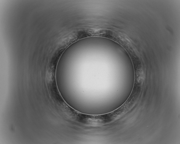 X0000112790515200908281509