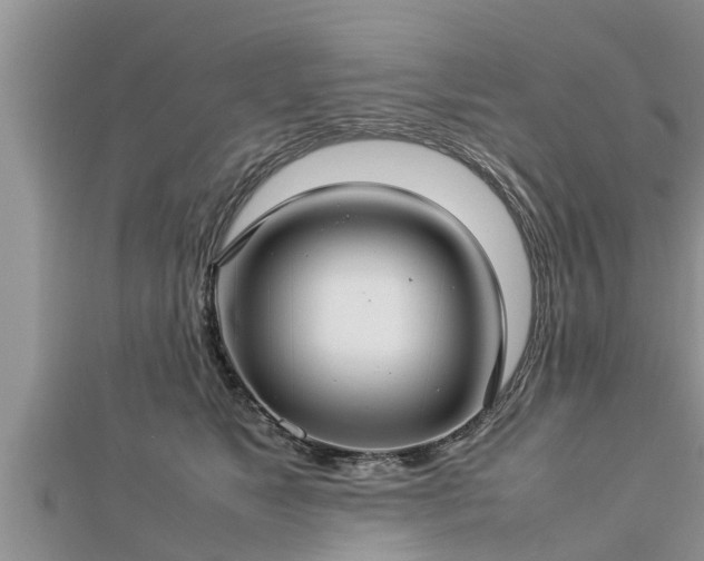 X0000112790517200908281509