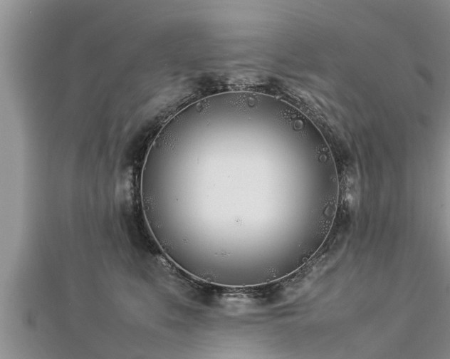 X0000112790519200908281509