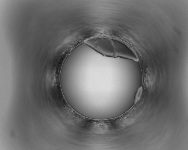 X0000112790520200908281509