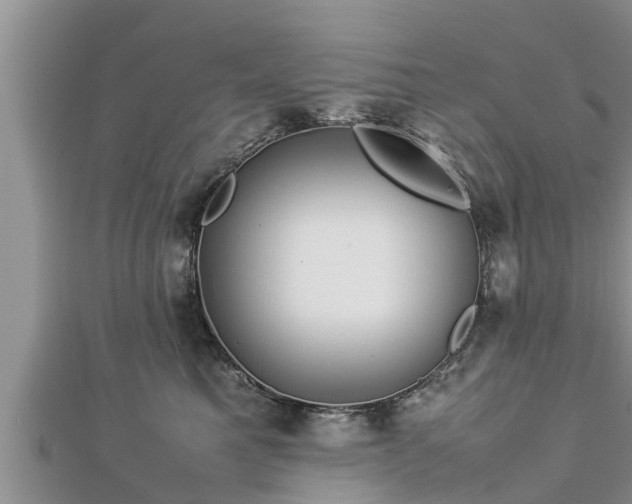 X0000112790521200908281509