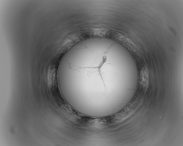 X0000112790522200908281509