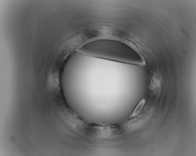 X0000112790524200908281509