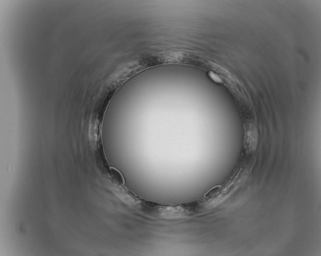 X0000112790525200908281509