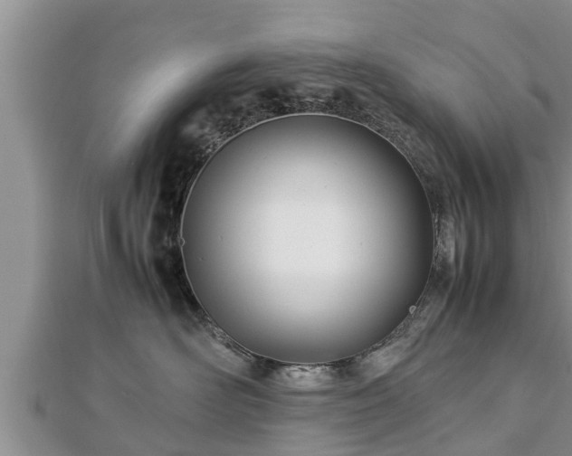 X0000112790526200908281509