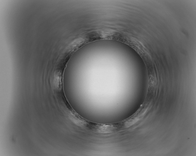 X0000112790527200908281509