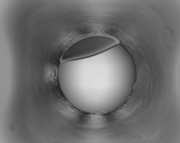 X0000112790528200908281509