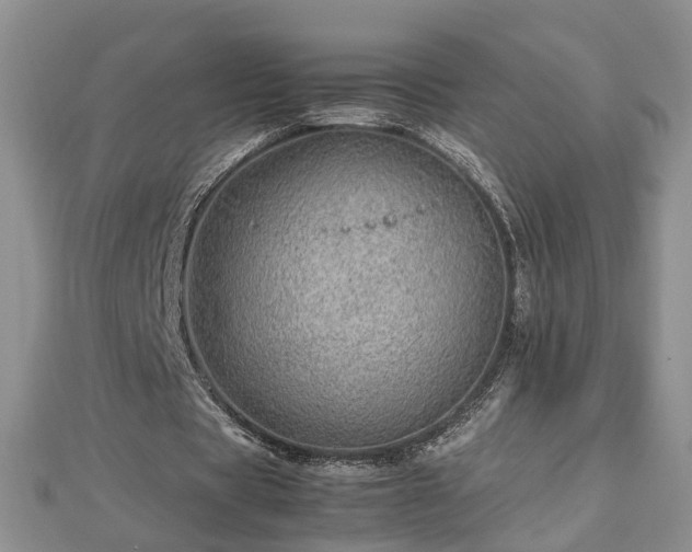 X0000112790529200908281508