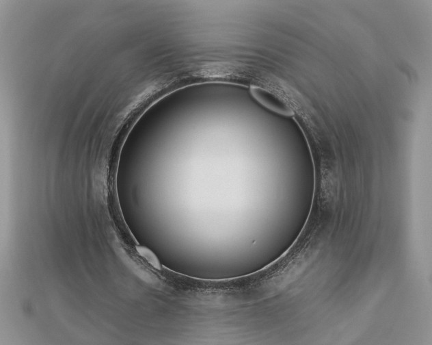 X0000112790530200908281508