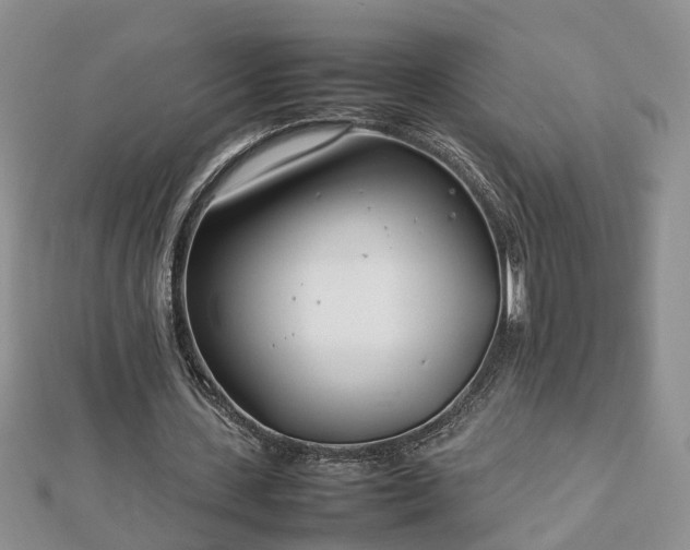 X0000112790531200908281508