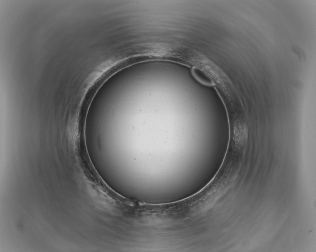 X0000112790532200908281509