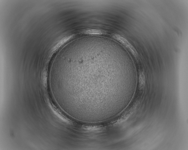 X0000112790533200908281509