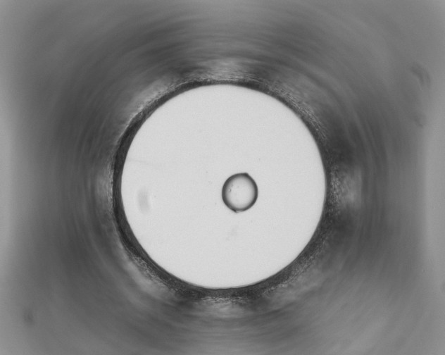 X0000112790534200908281509