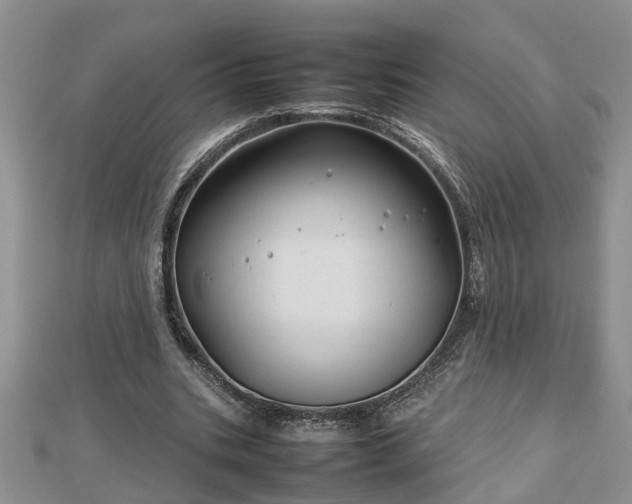 X0000112790535200908281509