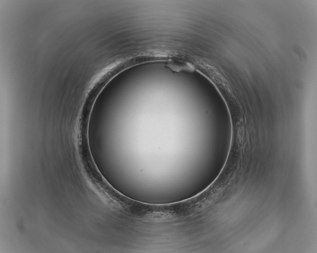 X0000112790536200908281509