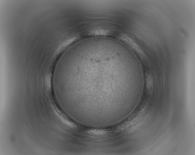 X0000112790537200908281509