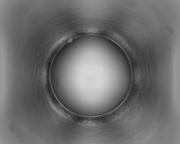 X0000112790538200908281509