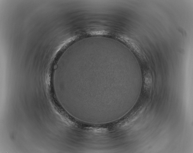 X0000112790539200908281509