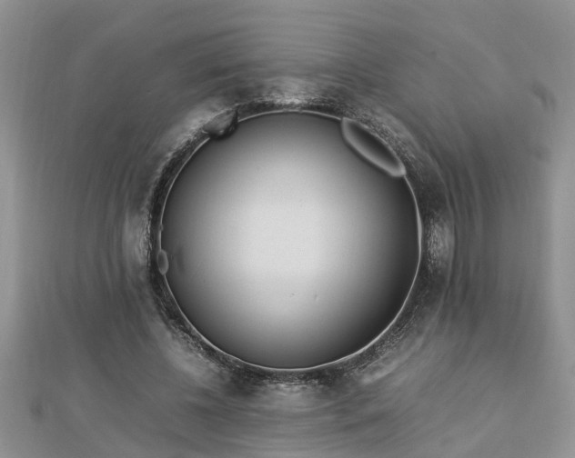 X0000112790540200908281509