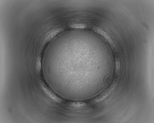 X0000112790541200908281509