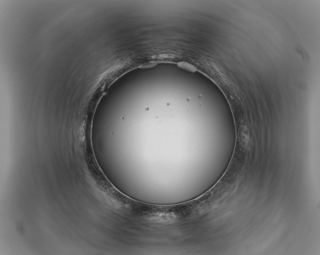 X0000112790543200908281509