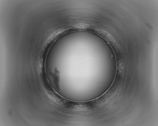 X0000112790544200908281509