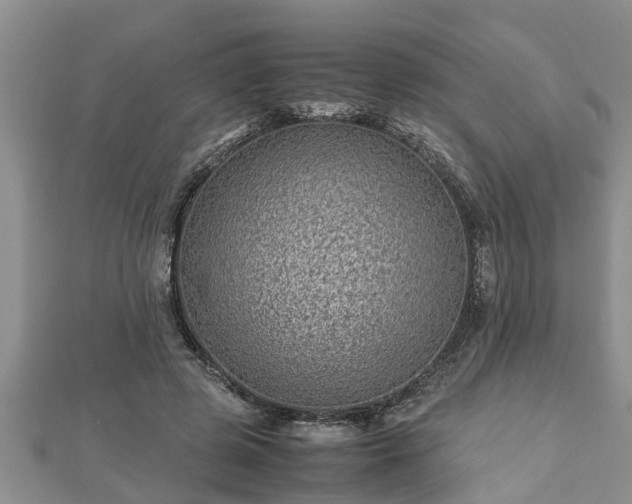 X0000112790545200908281509