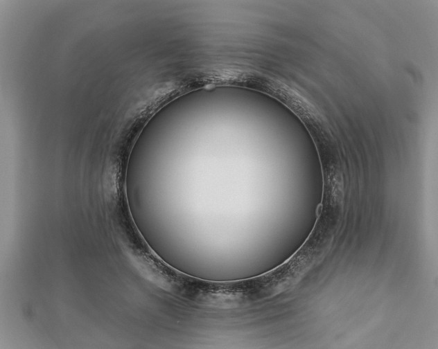 X0000112790546200908281509