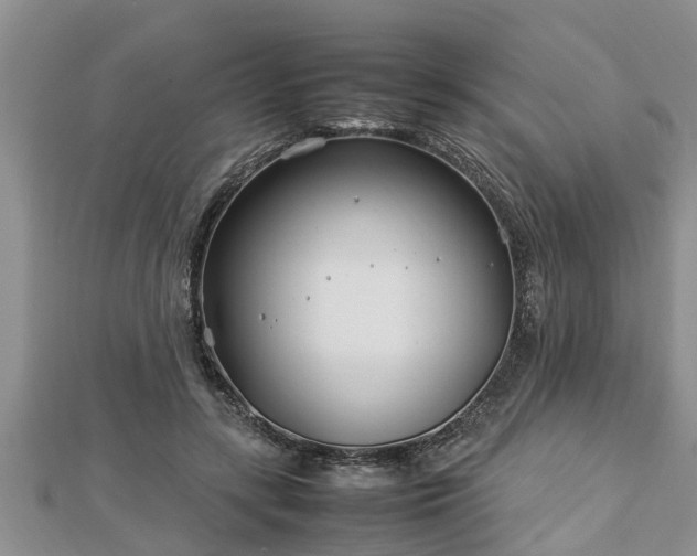 X0000112790547200908281509