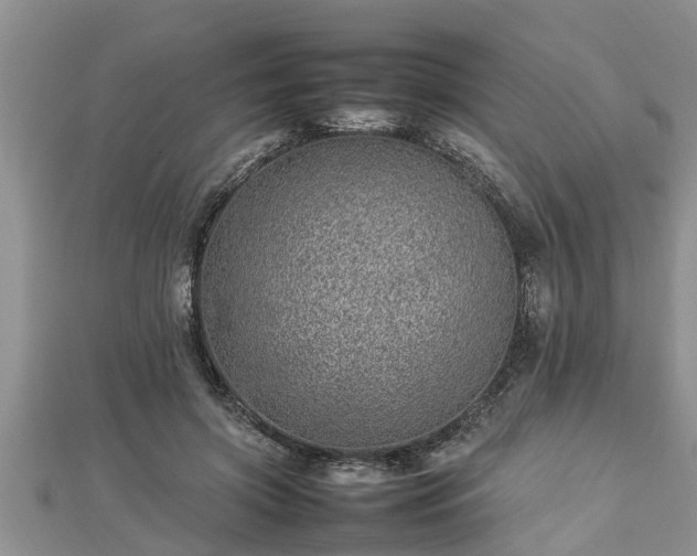 X0000112790549200908281509