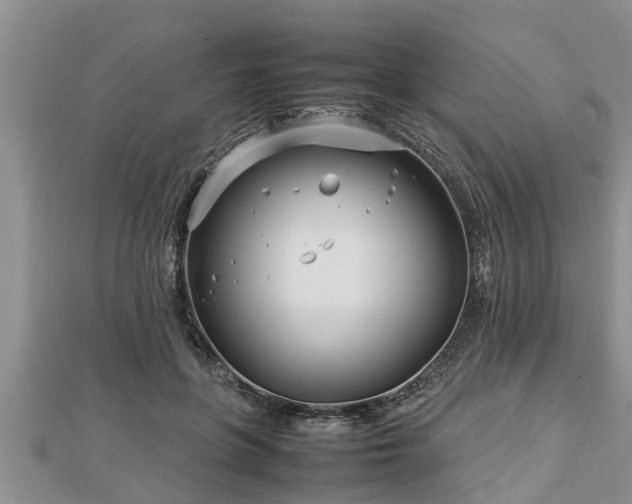 X0000112790551200908281509