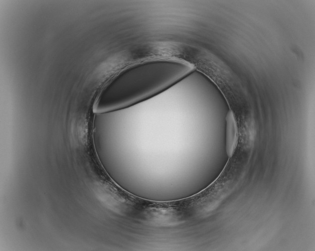 X0000112790552200908281509