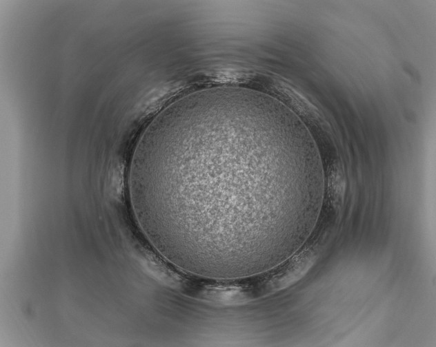 X0000112790554200908281509