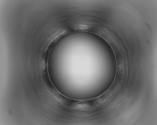 X0000112790555200908281509