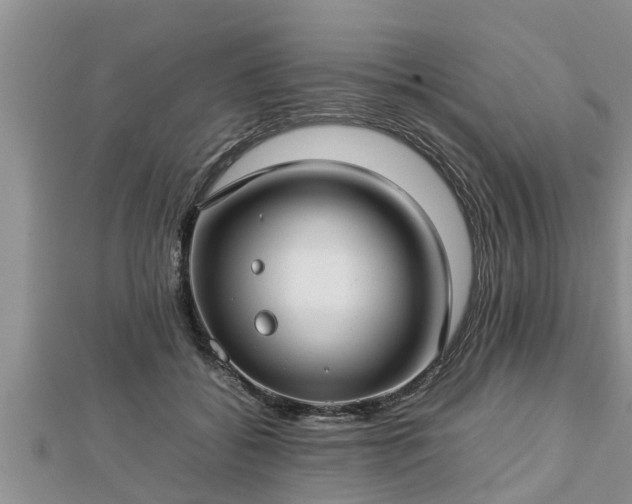 X0000112790556200908281509