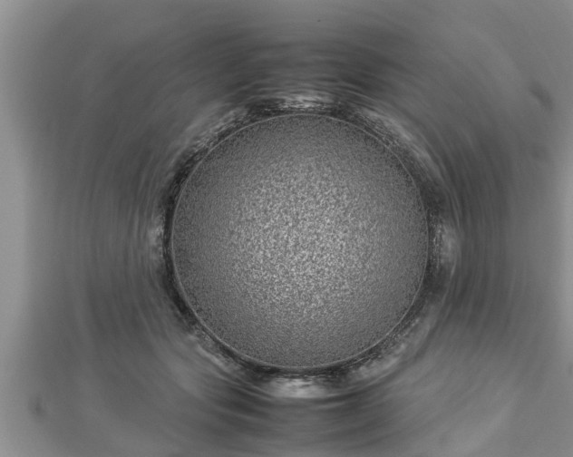 X0000112790557200908281509