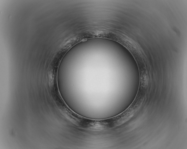 X0000112790558200908281509