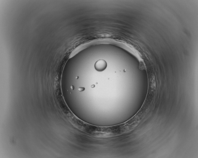 X0000112790559200908281509