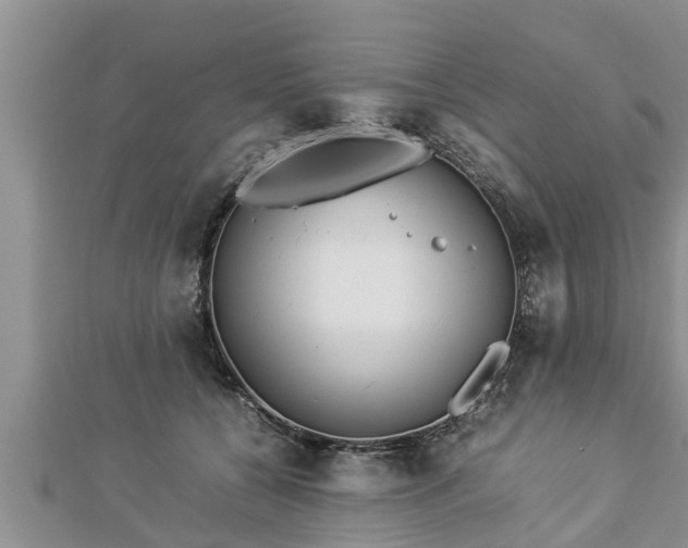 X0000112790560200908281509